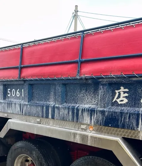 手洗い洗車-ダンプ